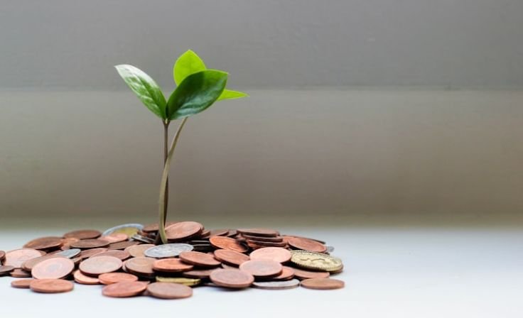 Cryptocurrency Basics: What You Need to Know Before You Take the Leap